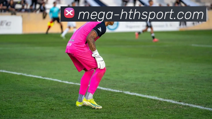 hth体育平台生态图