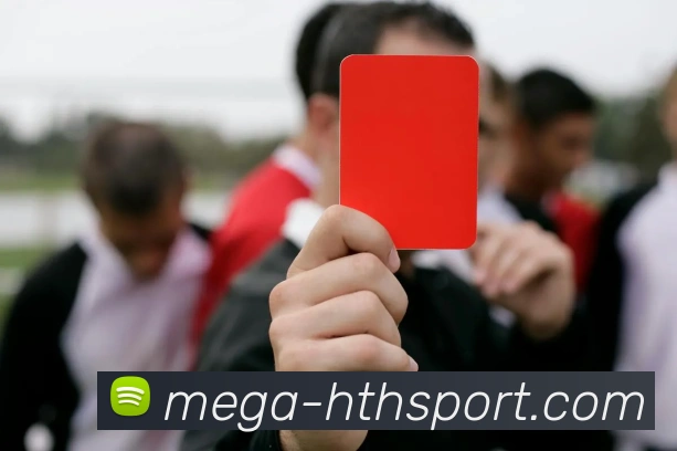 hth体育APP 封面图